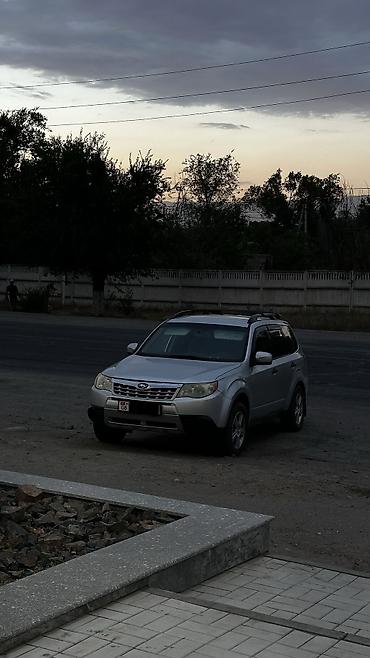 82 2: Subaru Forester: 2010 г., 2.5 л, Автомат, Бензин, Кроссовер — 7