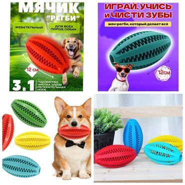 купить попугая какаду: Продаю игрушки для собак и кошек,а так же