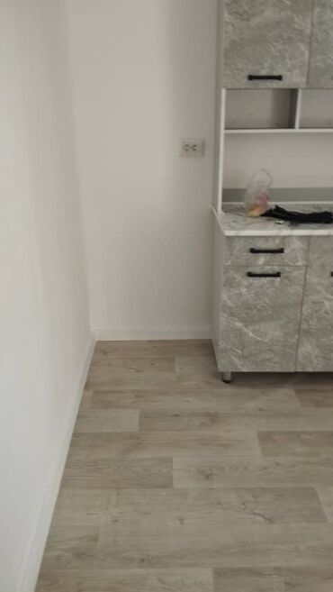 аренда квартир алтын ордо: 2 бөлмө, Менчик ээси, Чогуу жашоосу жок, Жарым -жартылай эмереги бар