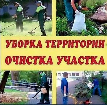 Работа: Я ишу работа уборка по договор . уборка участка . дача. помешения — 1