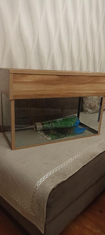 gence akvarium: Dördbucaq akvarium, Boş, 80 l — 3