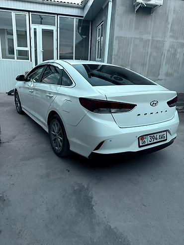 кармашка хундай соната: Продаётся Hyundai sonata 2019 Свежий перегонпрямо из Кореиродной — 5