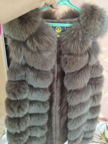 спорт витамины: Утепленные жилеты