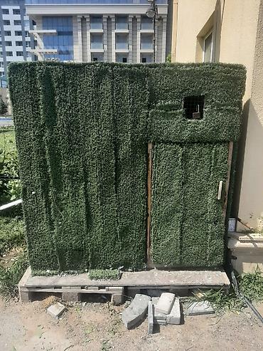 животные в добрые руки баку: Tecili satilir cidii insan narahat etsin isteyen olsa wap catda — 1