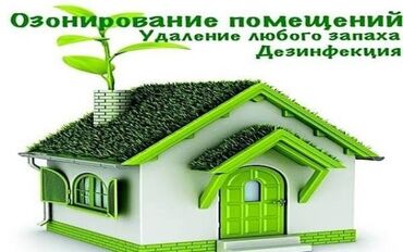 дезинфекция дома от клопов ош: Озонирование помещений и автомобилей ✅ Удаляем неприятные запахи