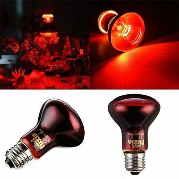 Сельскохозяйственное оборудование: Qizdirici infrared lampa Qızdırıcı keramik lampalar Inkubator və — 3