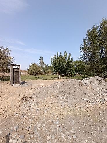 Продажа коттеджей и домов: Продается дом, 5 комнат, 49 СОТОК 📌В селе Беловодское продается — 16