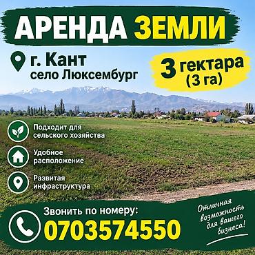 кен сай пост: Для бизнеса — 1