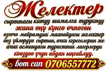 декор для дома и сада: Гирлянда и флаг с государственным флагом Кыргызстана. - Гирлянда — 3