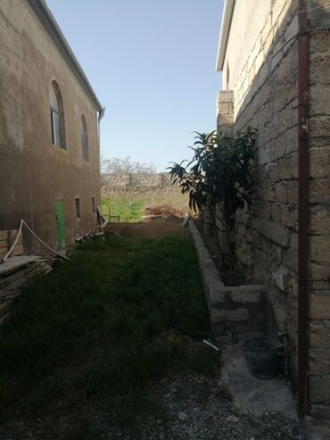 Həyət evləri və villaların satışı: Daş materialdan tikilmiş, taxta tavanlı və geniş eyvanlı həyət evi — 14