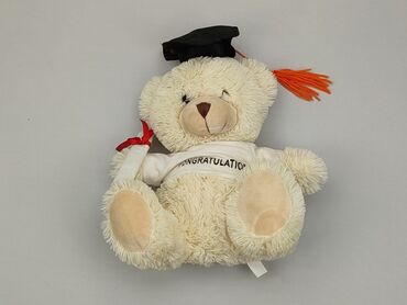 sukienka na zabawę: Mascot Teddy bear, condition - Good