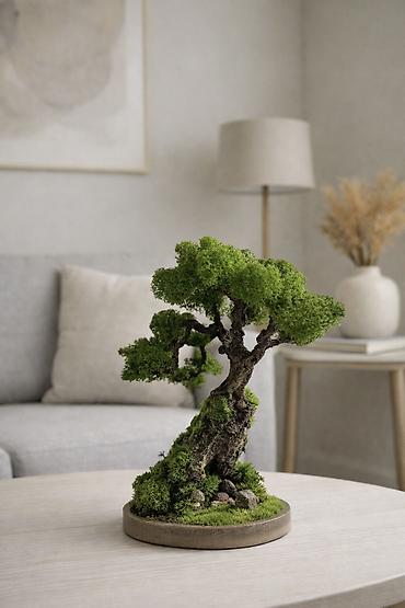 Декоративные цветы: Деревья-бонсай из натурального стабилизированного мха🌳 -это — 50