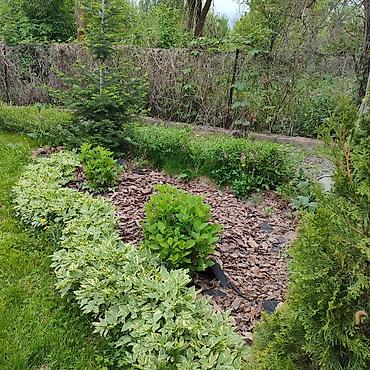 Продажа дач: Продаю: дачу, в экологически чистом районе, в Арашане (дачное — 29