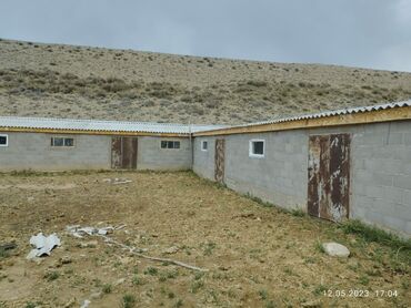 Сельхоз предприятия: Продаётся кашар с полностью огороженным участком площадью 4,5 га. На — 5