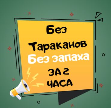 дезинфекция дома: Дезинфекция, дезинсекция | Тараканы | Офисы, Квартиры, Дома