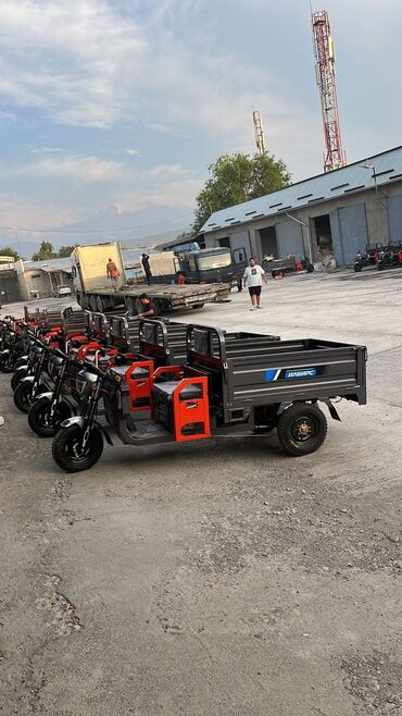 Другая мототехника: Мотороллер муравей мотороллер муравей ! Трицикл, электро мотоцикл — 2