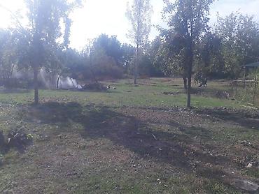 Torpaq sahələrinin satışı: 40 sot, Tikinti, Mülkiyyətçi, Kupça (Çıxarış) — 3