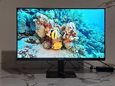 Мониторы: Монитор, Philips, Новый, LCD, 23" - 24" — 9