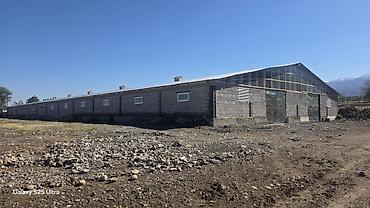 Продажа коммерческой недвижимости: Сарай сатылат 100×24 метр 1500 койго аткормга. 500 койго место дайын — 6