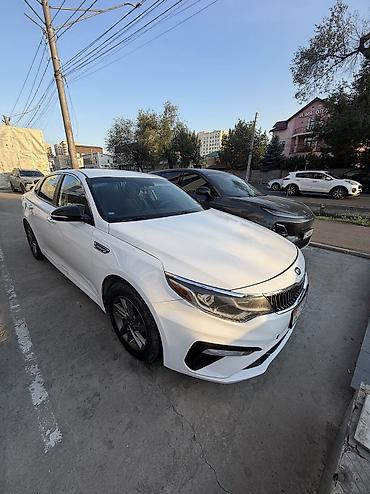 Kia Optima: 2019 г., 2.4 л, Автомат, Бензин