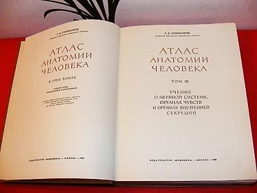 gitare prodaja: Anatomski atlas čoveka 1-3 r. d. Sinelnikov na ruskom Tri anatomska — 7