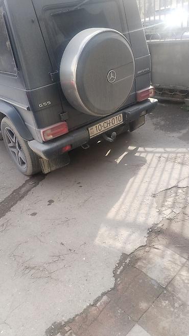 İtlər: Alabay, 2 il, Erkek — 12