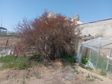zabratda heyet evi: Digah, 110 kv. m, 4 otaqlı, Hovuzsuz, Qaz, İşıq, Su