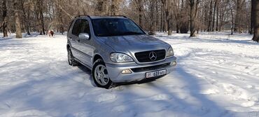 mercedes 123: Mercedes-Benz M-Class: 2003 г., 2.7 л, Автомат, Дизель, Внедорожник