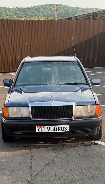 190e: Mercedes-Benz 190: 1990 г., 4.3 л, Автомат, Бензин, Седан — 5