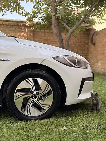 byd e2 батарея: Hyundai Avante: 2020 г., 1.6 л, Автомат, Гибрид, Седан — 10