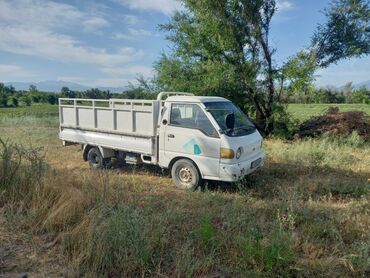 Hyundai Porter: 2001 г., 2.5 л, Механика, Дизель, Пикап