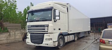 помпа на одиссей: Толка галава