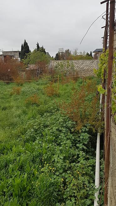 samaxida torpaq sahesi satilir: 6 sot, Tikinti, Kupça (Çıxarış) — 4