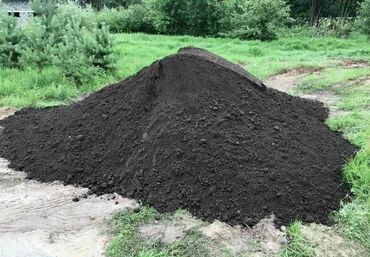 Ağaclar: Qara Torpaq Və Peyin Torpaq Satışı: Kənd təsərrüfatı, bağçılıq və ya