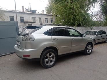 Lexus: Lexus RX: 2003 г., 3 л, Автомат, Бензин, Внедорожник