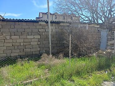sebail: 1 sot, Tikinti, Kupça (Çıxarış) — 2