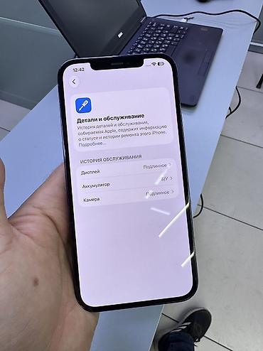 apple watch series 11: IPhone 12 Pro Max, Б/у, 256 ГБ, Pacific Blue — 6