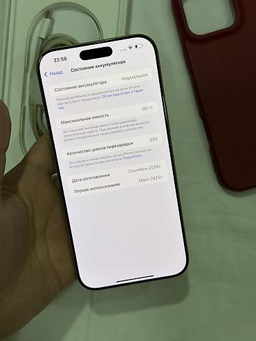 Apple iPhone: IPhone 16 Pro Max, Б/у, 256 ГБ, Natural Titanium, Зарядное устройство, Чехол, Кабель, 99 % — 6
