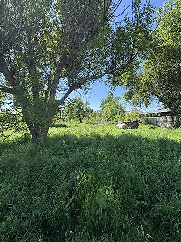 фудбольный поля: ✨ Продаётся участок земли в с. Гавриловка ✨ 🏡 — 5