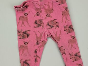 sukienki letnie różowe: Leggings, Pepco, 6-9 months, condition - Very good