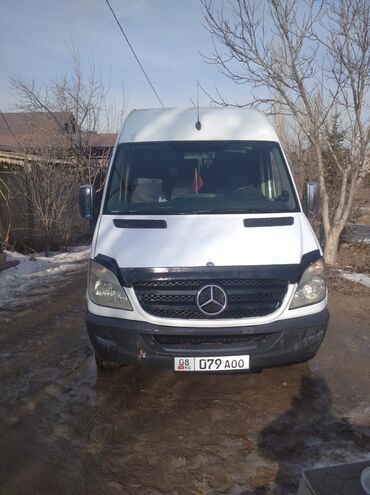 рекс мерс: Mercedes-Benz Sprinter: 2006 г., 2.2 л, Механика, Дизель, Бус