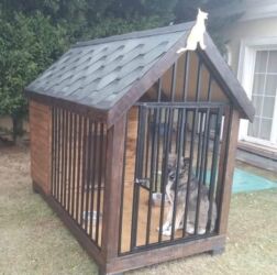 Yuvalar: It və pişik yuvaları — 29