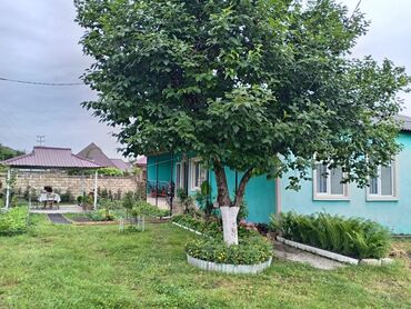 bərdədə kirayə evlərsatışa verilən kirayə evlər: 100 kv. m, 3 otaqlı, Kombi, Qaz, İşıq