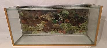 akvarumlar: Akvarium 12 lik şüşə ilə hazırlanıb.Uzunluq:110sm.Eni: 32sm.Hündürlük — 3