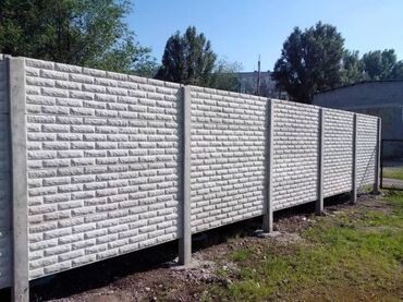 Toyota: Toyota : 2024 г. — 2