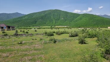 hövsanda torpaq: 6 sot, Tikinti, Mülkiyyətçi, Kupça (Çıxarış)