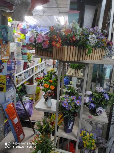 Горшки для растений: Цветочные горшки Кашпо для растений Грунты Удобрение Добавки — 5