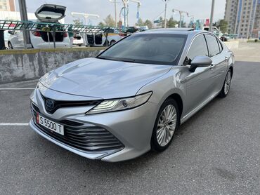camry 50 xle: Toyota Camry