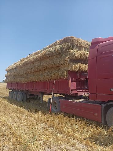 Транспорт: Самосвальный полуприцеп красного цвета, предназначенный для перевозки — 3