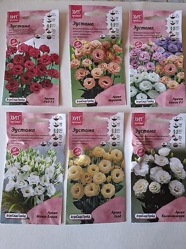 tut aragi satilir: Eustoma (lisianthus) toxumu – “Arena” seriyası, VIP xətt — 1